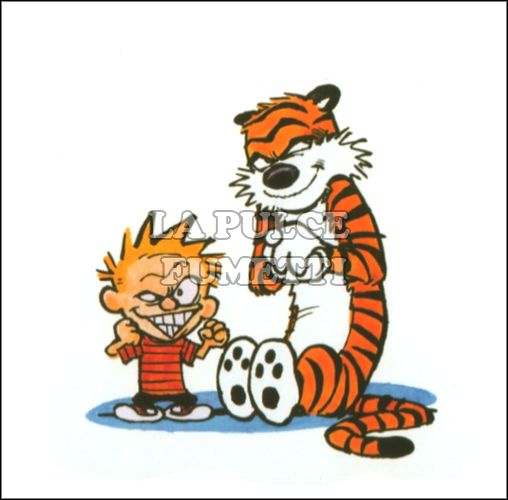 COMPLETE CALVIN AND HOBBES #     5